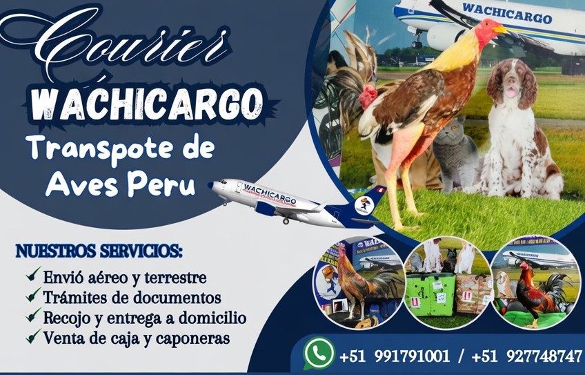 Transporte de Aves