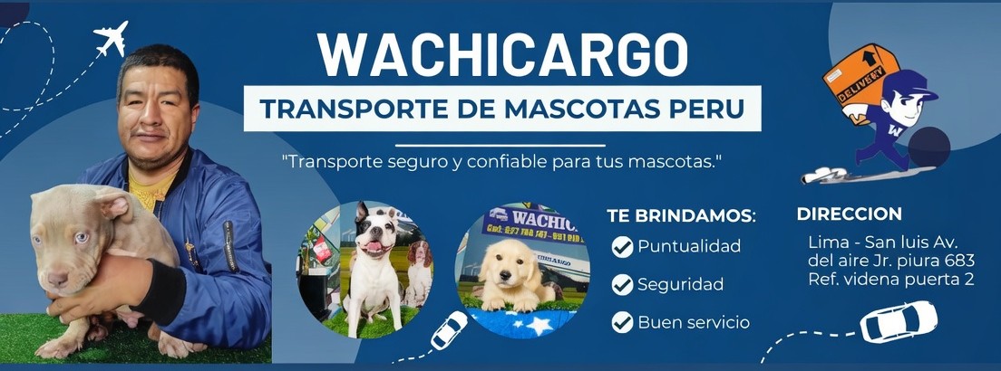 Transporte de Perros