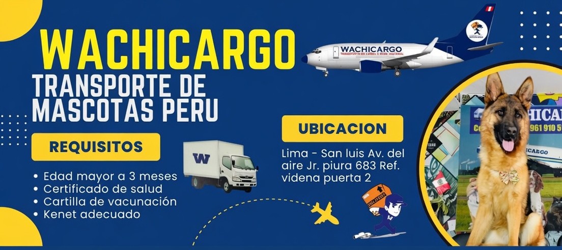 Transporte de Gatos